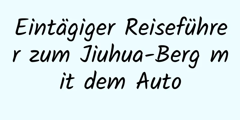 Eintägiger Reiseführer zum Jiuhua-Berg mit dem Auto