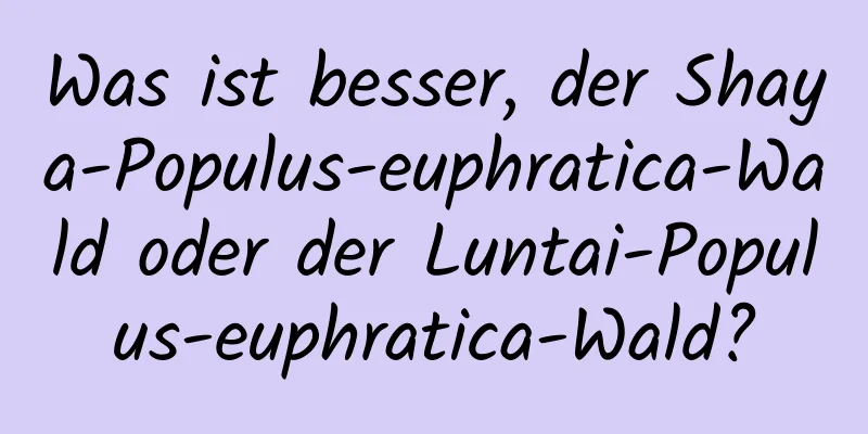 Was ist besser, der Shaya-Populus-euphratica-Wald oder der Luntai-Populus-euphratica-Wald?