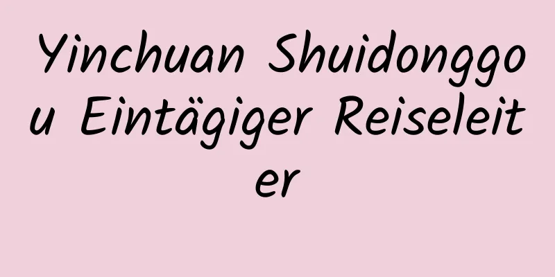 Yinchuan Shuidonggou Eintägiger Reiseleiter