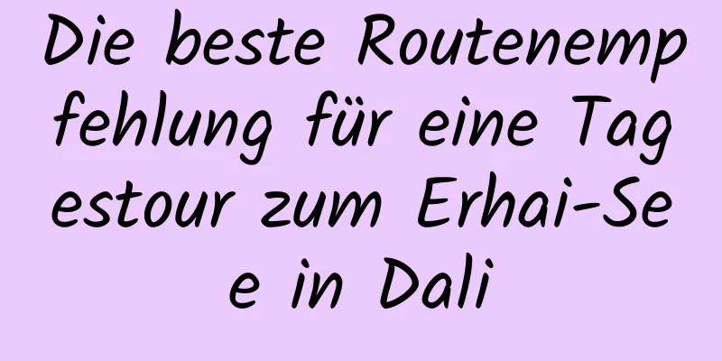 Die beste Routenempfehlung für eine Tagestour zum Erhai-See in Dali