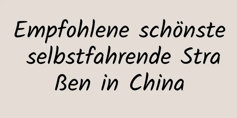 Empfohlene schönste selbstfahrende Straßen in China