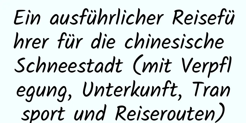 Ein ausführlicher Reiseführer für die chinesische Schneestadt (mit Verpflegung, Unterkunft, Transport und Reiserouten)