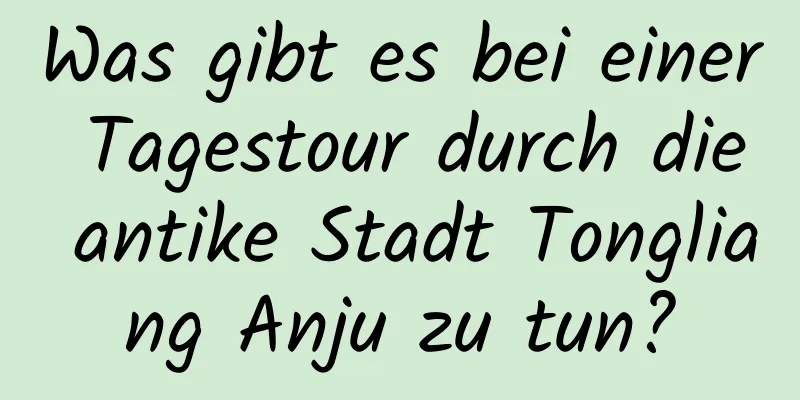 Was gibt es bei einer Tagestour durch die antike Stadt Tongliang Anju zu tun?