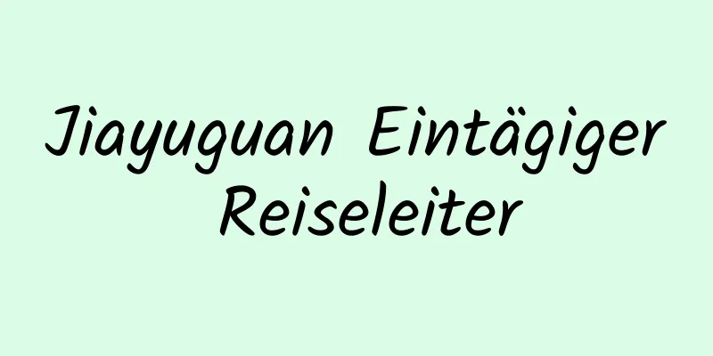 Jiayuguan Eintägiger Reiseleiter