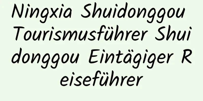 Ningxia Shuidonggou Tourismusführer Shuidonggou Eintägiger Reiseführer