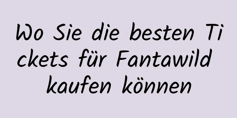 Wo Sie die besten Tickets für Fantawild kaufen können