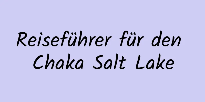 Reiseführer für den Chaka Salt Lake