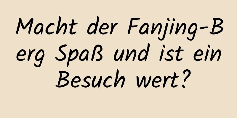 Macht der Fanjing-Berg Spaß und ist ein Besuch wert?