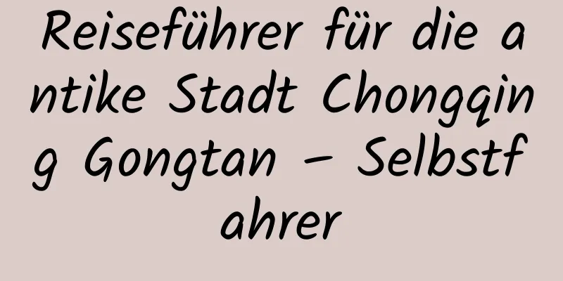 Reiseführer für die antike Stadt Chongqing Gongtan – Selbstfahrer