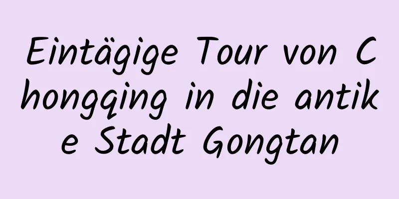 Eintägige Tour von Chongqing in die antike Stadt Gongtan