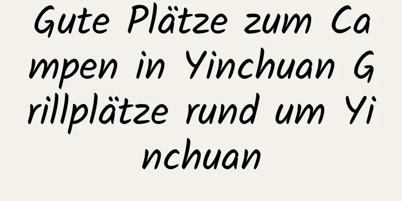 Gute Plätze zum Campen in Yinchuan Grillplätze rund um Yinchuan