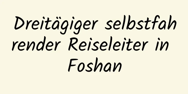 Dreitägiger selbstfahrender Reiseleiter in Foshan