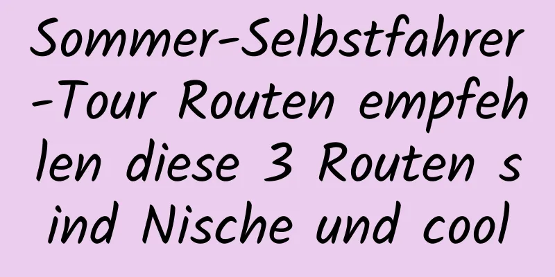 Sommer-Selbstfahrer-Tour Routen empfehlen diese 3 Routen sind Nische und cool