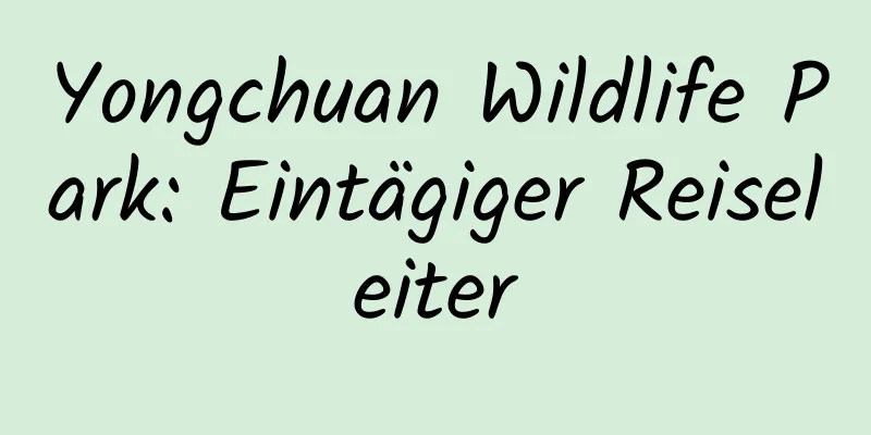 Yongchuan Wildlife Park: Eintägiger Reiseleiter