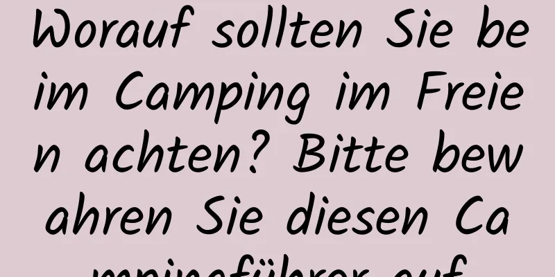 Worauf sollten Sie beim Camping im Freien achten? Bitte bewahren Sie diesen Campingführer auf