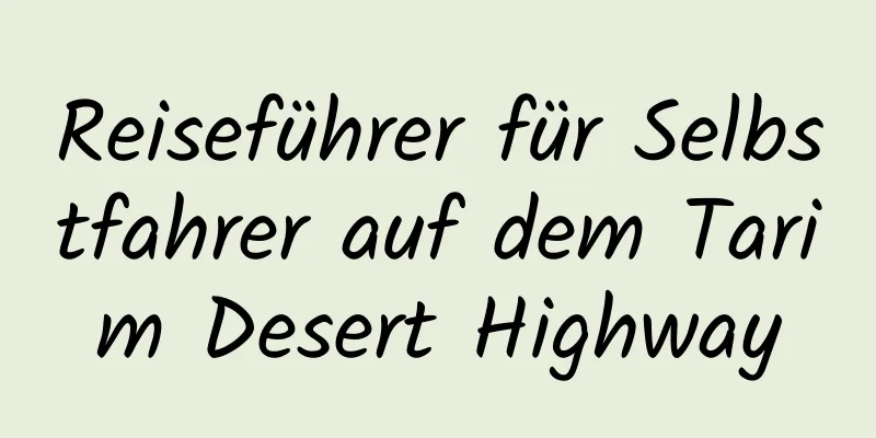 Reiseführer für Selbstfahrer auf dem Tarim Desert Highway