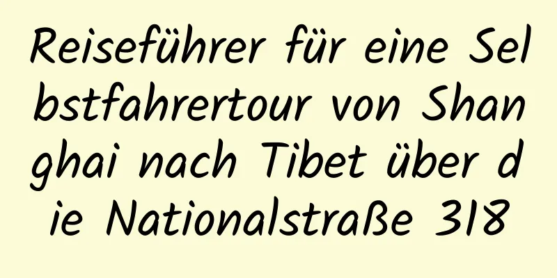 Reiseführer für eine Selbstfahrertour von Shanghai nach Tibet über die Nationalstraße 318