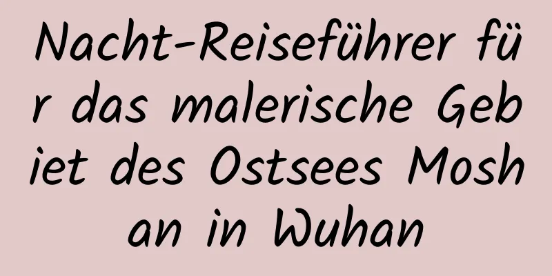 Nacht-Reiseführer für das malerische Gebiet des Ostsees Moshan in Wuhan