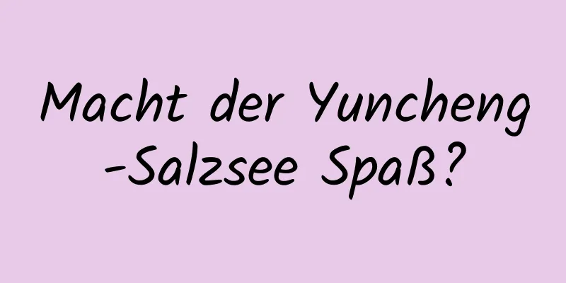 Macht der Yuncheng-Salzsee Spaß?