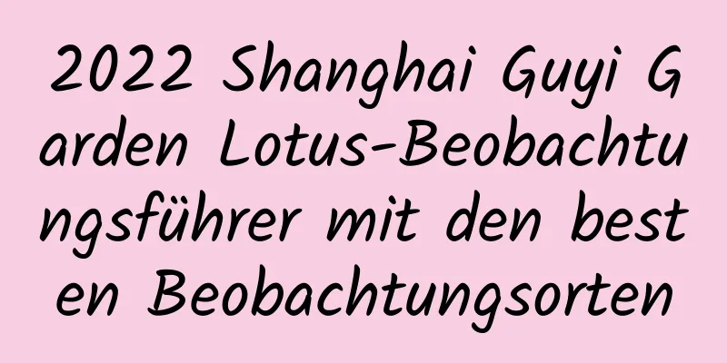 2022 Shanghai Guyi Garden Lotus-Beobachtungsführer mit den besten Beobachtungsorten