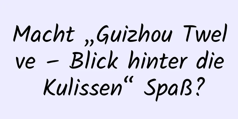 Macht „Guizhou Twelve – Blick hinter die Kulissen“ Spaß?