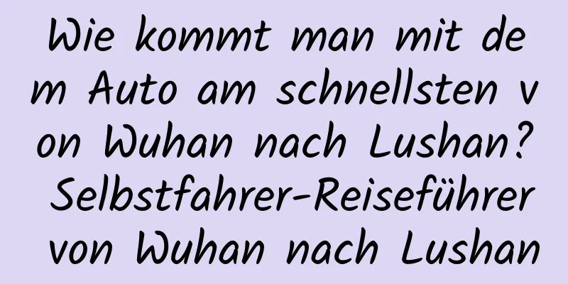 Wie kommt man mit dem Auto am schnellsten von Wuhan nach Lushan? Selbstfahrer-Reiseführer von Wuhan nach Lushan