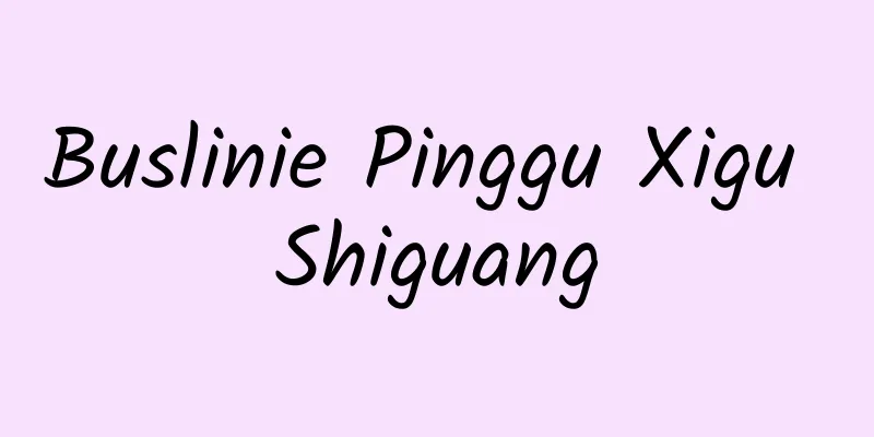 Buslinie Pinggu Xigu Shiguang