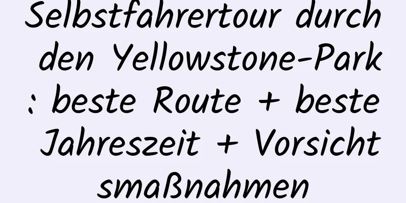 Selbstfahrertour durch den Yellowstone-Park: beste Route + beste Jahreszeit + Vorsichtsmaßnahmen