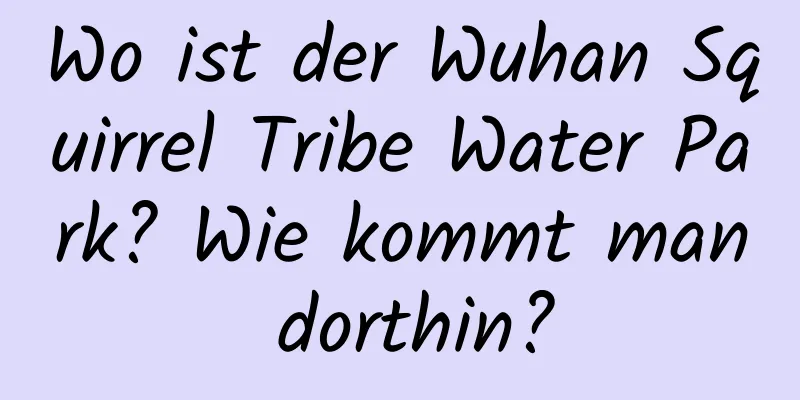 Wo ist der Wuhan Squirrel Tribe Water Park? Wie kommt man dorthin?