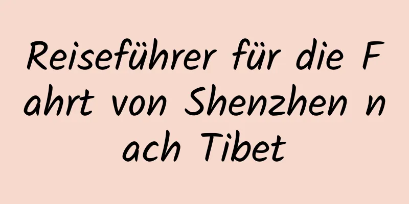 Reiseführer für die Fahrt von Shenzhen nach Tibet