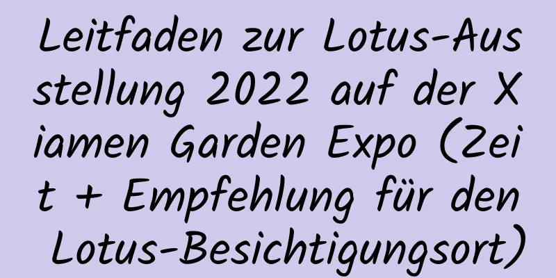 Leitfaden zur Lotus-Ausstellung 2022 auf der Xiamen Garden Expo (Zeit + Empfehlung für den Lotus-Besichtigungsort)