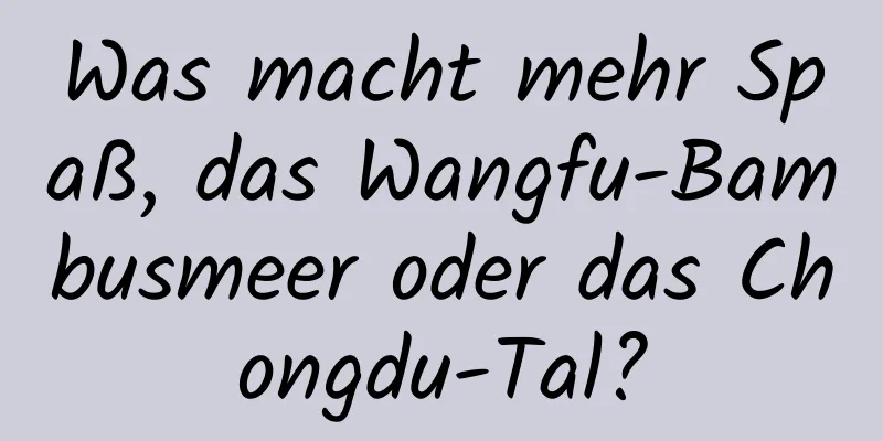 Was macht mehr Spaß, das Wangfu-Bambusmeer oder das Chongdu-Tal?