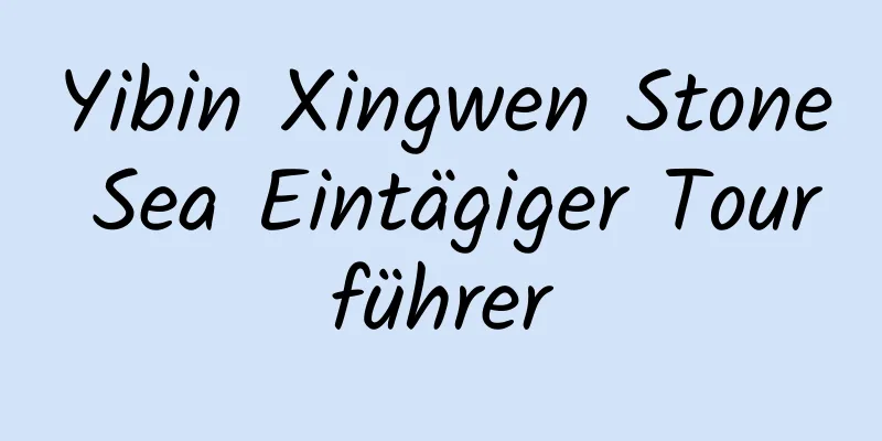 Yibin Xingwen Stone Sea Eintägiger Tourführer