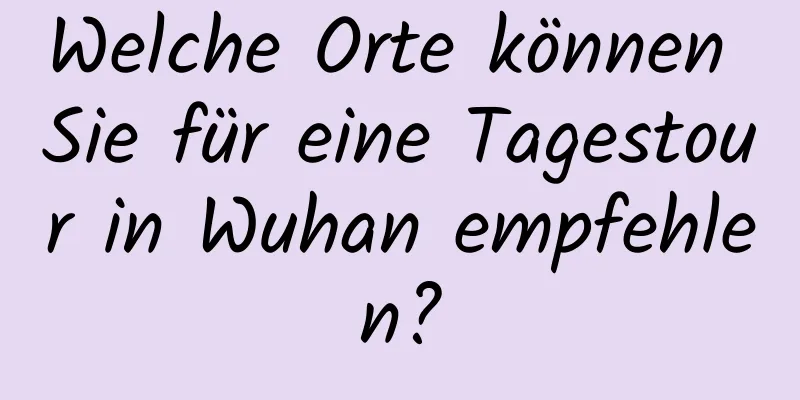 Welche Orte können Sie für eine Tagestour in Wuhan empfehlen?