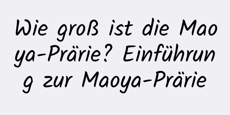 Wie groß ist die Maoya-Prärie? Einführung zur Maoya-Prärie