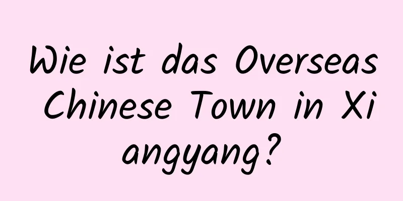 Wie ist das Overseas Chinese Town in Xiangyang?