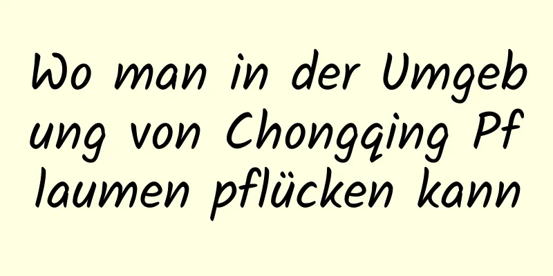 Wo man in der Umgebung von Chongqing Pflaumen pflücken kann