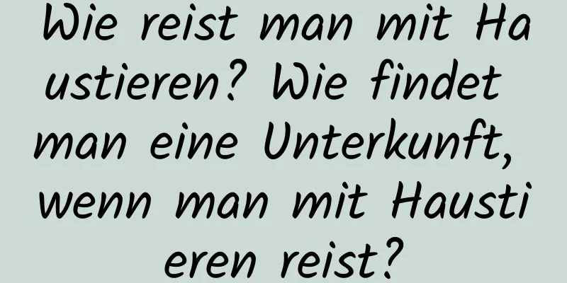 Wie reist man mit Haustieren? Wie findet man eine Unterkunft, wenn man mit Haustieren reist?