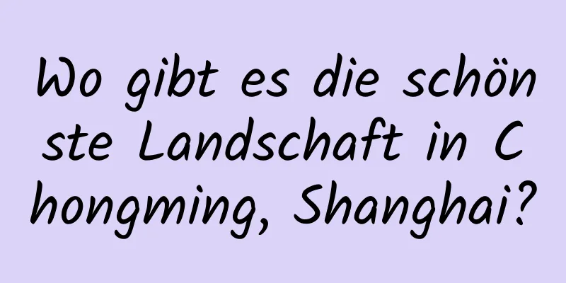 Wo gibt es die schönste Landschaft in Chongming, Shanghai?