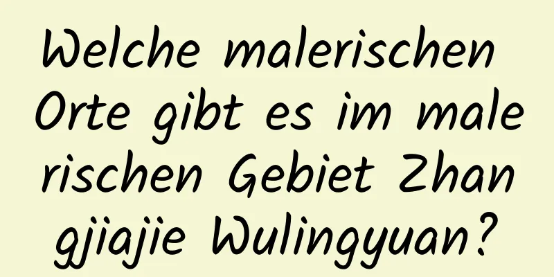 Welche malerischen Orte gibt es im malerischen Gebiet Zhangjiajie Wulingyuan?