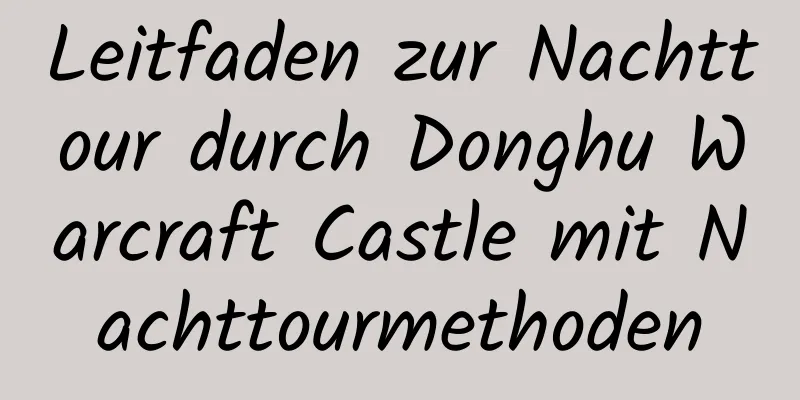 Leitfaden zur Nachttour durch Donghu Warcraft Castle mit Nachttourmethoden