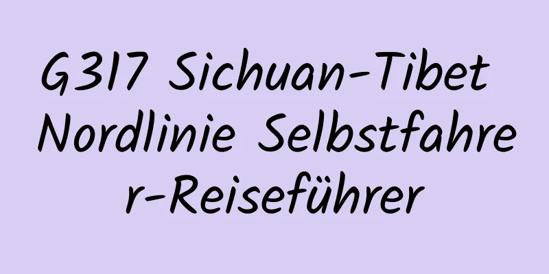 G317 Sichuan-Tibet Nordlinie Selbstfahrer-Reiseführer