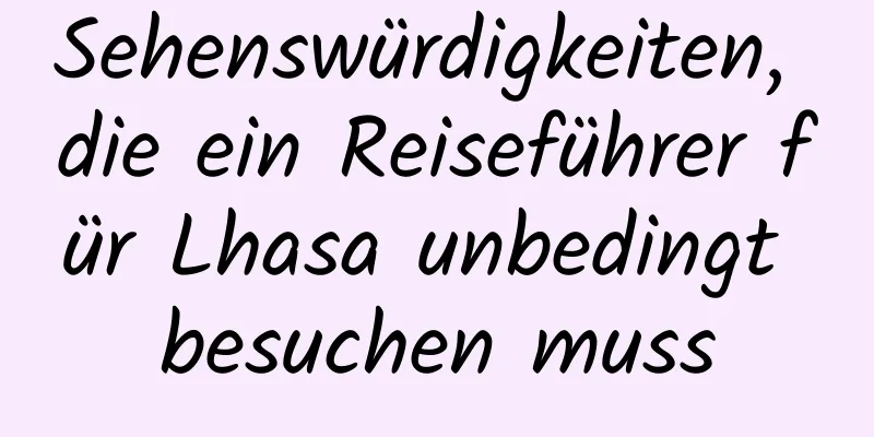 Sehenswürdigkeiten, die ein Reiseführer für Lhasa unbedingt besuchen muss