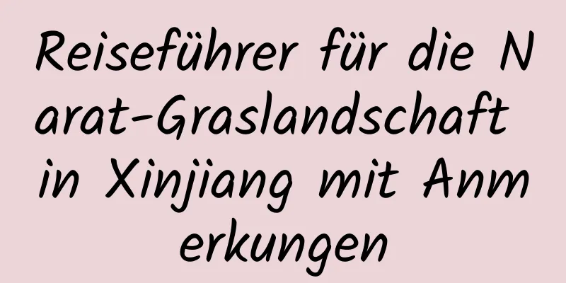 Reiseführer für die Narat-Graslandschaft in Xinjiang mit Anmerkungen