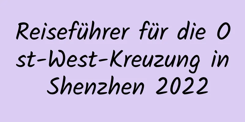 Reiseführer für die Ost-West-Kreuzung in Shenzhen 2022