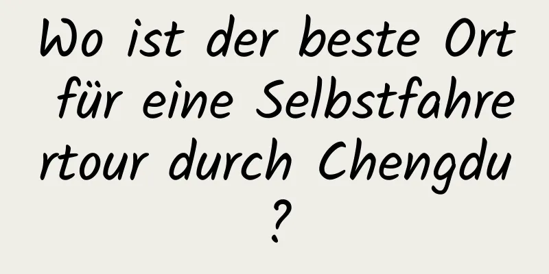 Wo ist der beste Ort für eine Selbstfahrertour durch Chengdu?