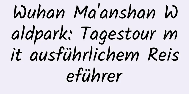 Wuhan Ma'anshan Waldpark: Tagestour mit ausführlichem Reiseführer