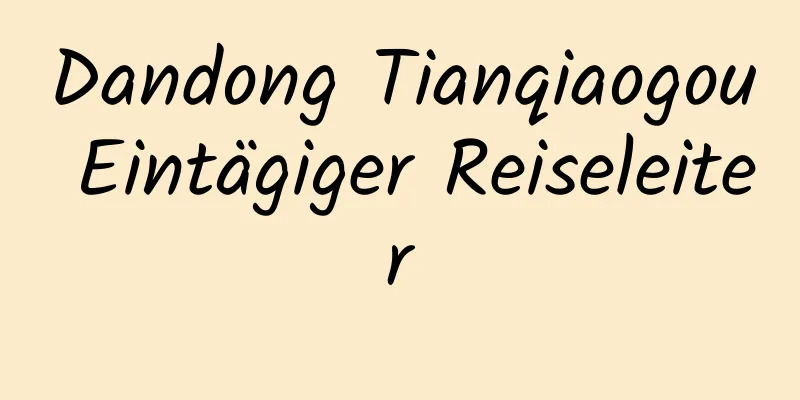 Dandong Tianqiaogou Eintägiger Reiseleiter