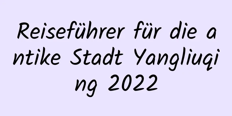 Reiseführer für die antike Stadt Yangliuqing 2022