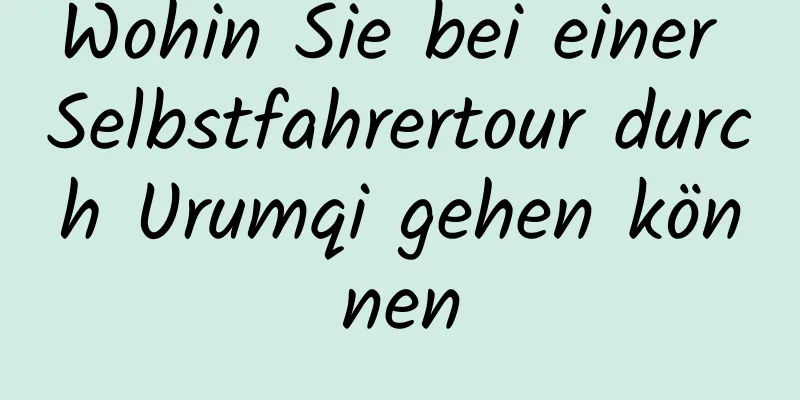 Wohin Sie bei einer Selbstfahrertour durch Urumqi gehen können